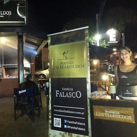 Degustación de Vinos de la Bodega LOS HAROLDOS de Familia Falasco